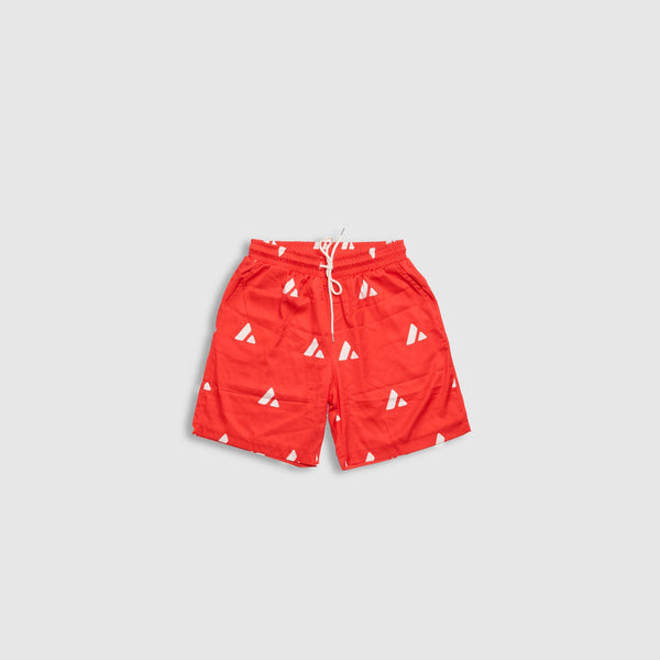 Avalanche Swim Shorts